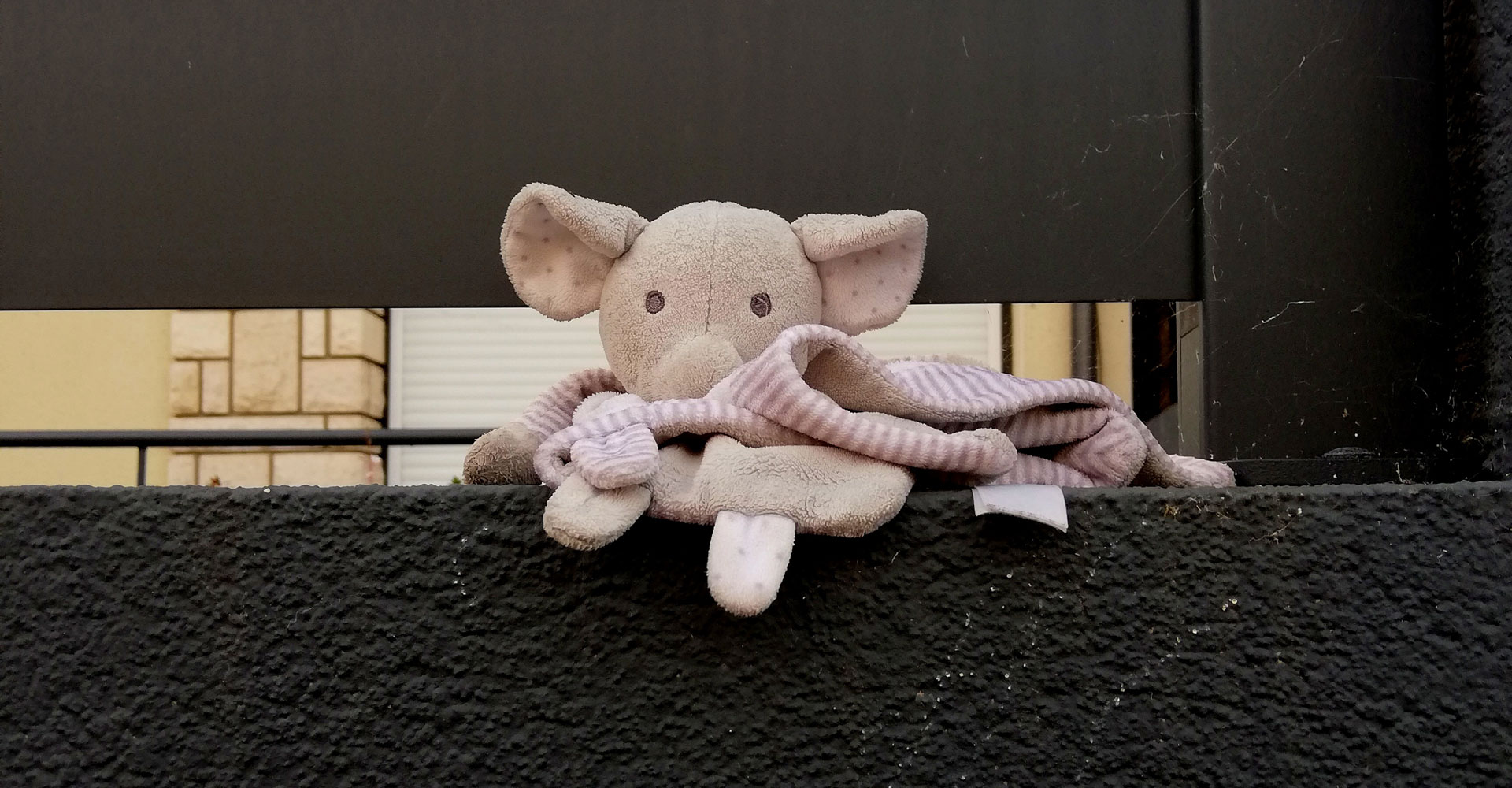 Doudou égaré