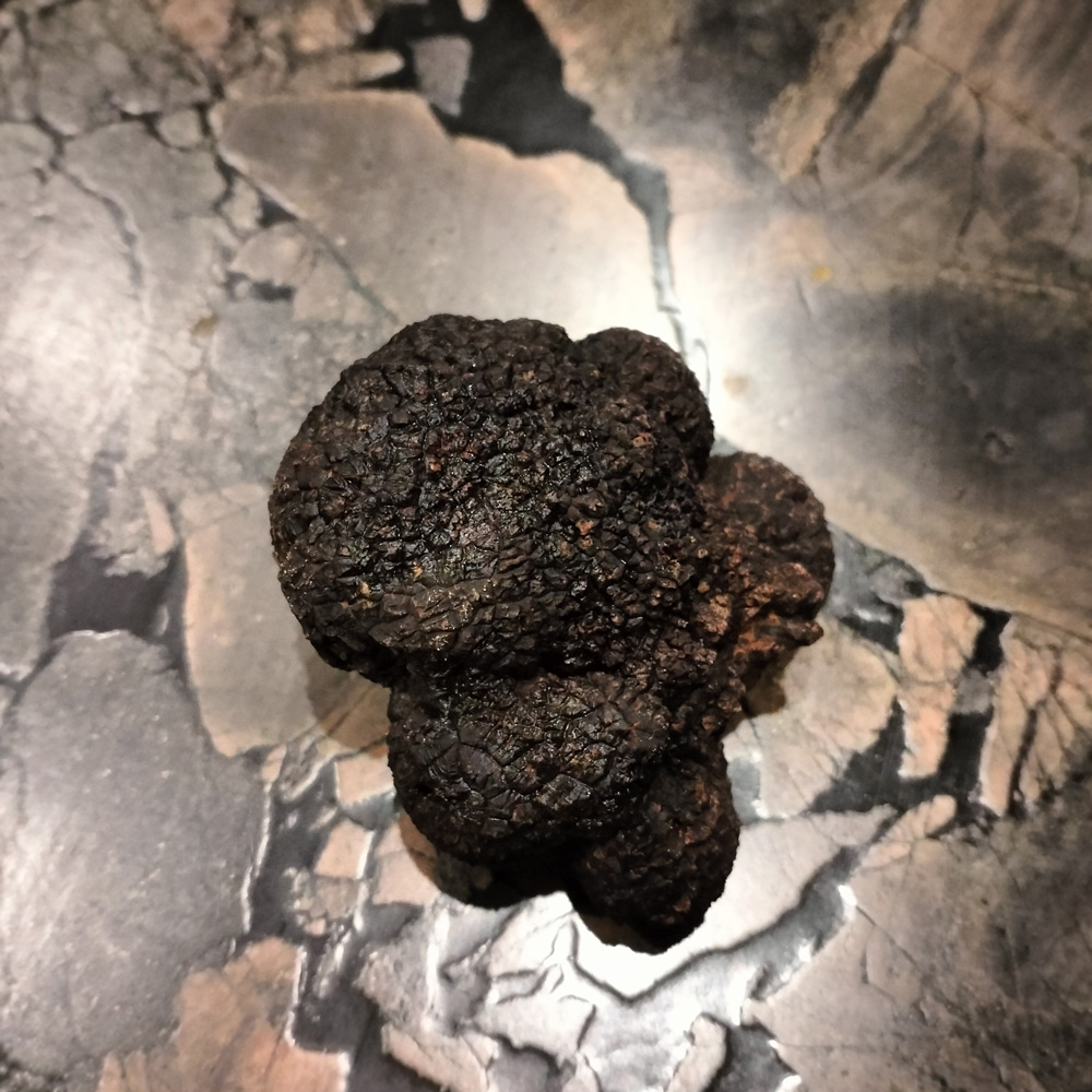 truffe